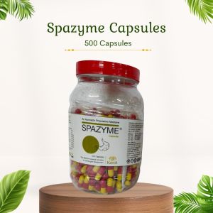 Spazyme - 500 Capsules